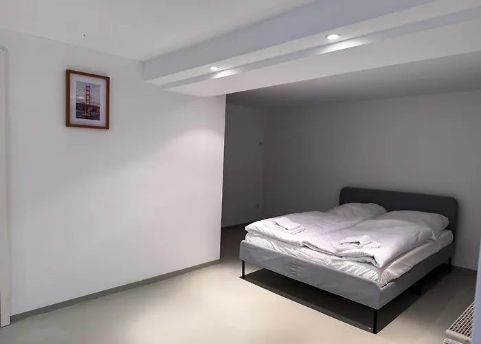 T&K Apartments - 8 Room Detached House - 6 Min To Messe Dus - Private Parking